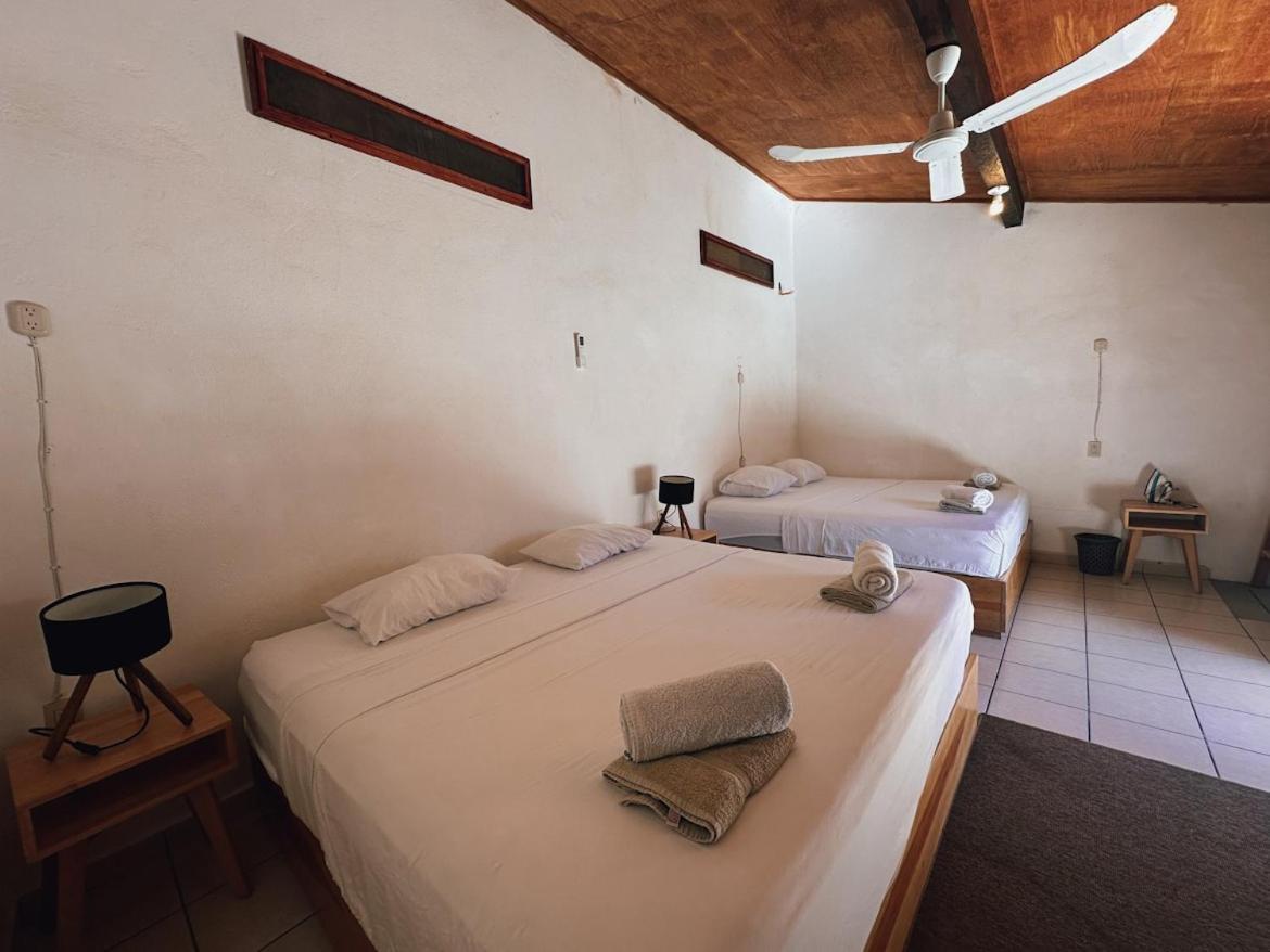 Pacific Buddha Brisas de Zicatela エクステリア 写真
